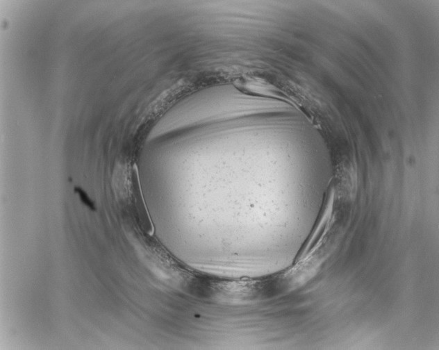 X0000061760184200512302313