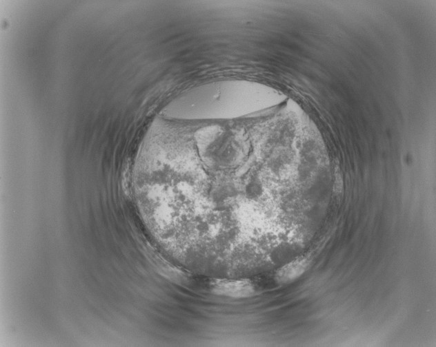 X0000061760185200512302313