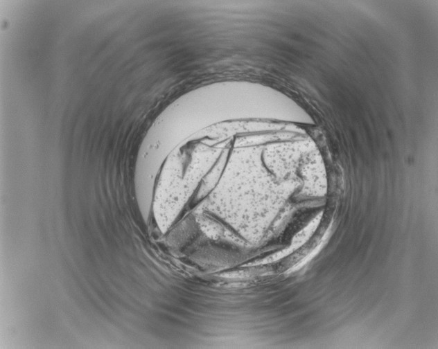 X0000061760186200512302313