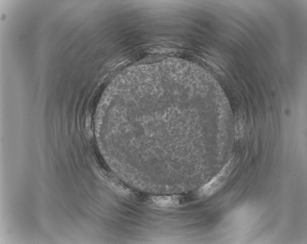 X0000061760187200512302313