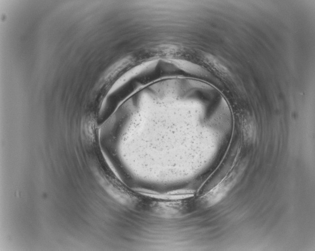 X0000061760188200512302313