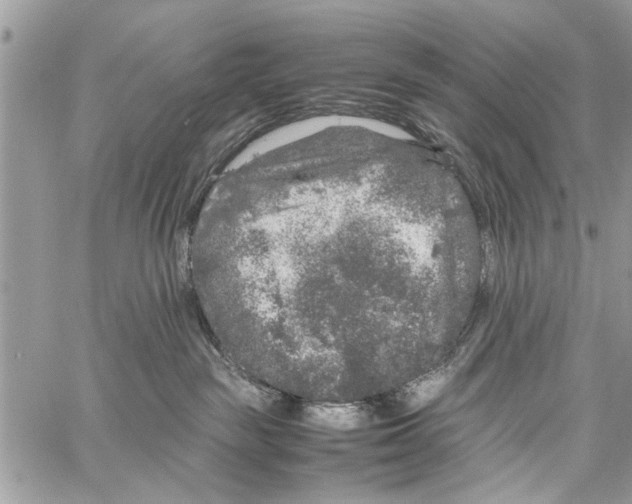 X0000061760189200512302313