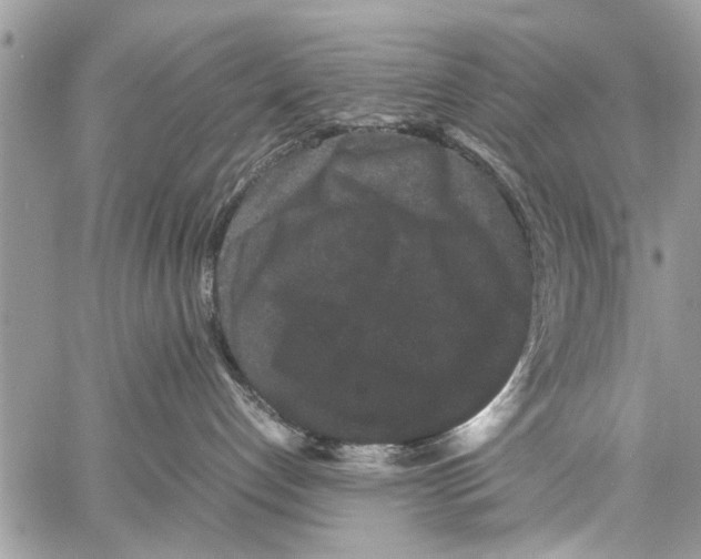 X0000061760192200512302313