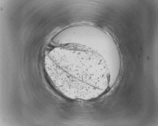 X0000061760193200512302312