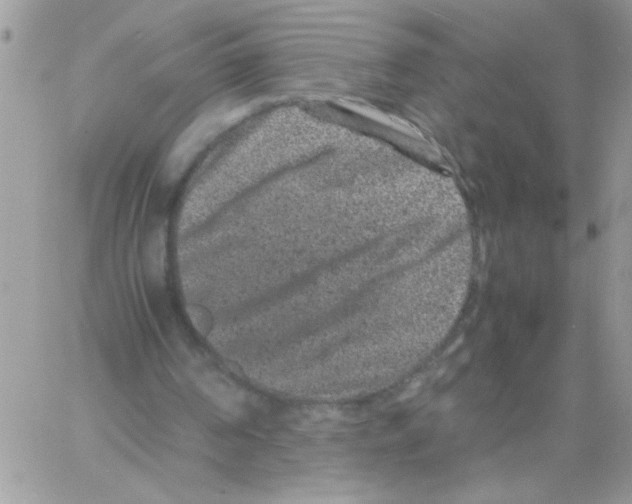 X0000061760194200512302312