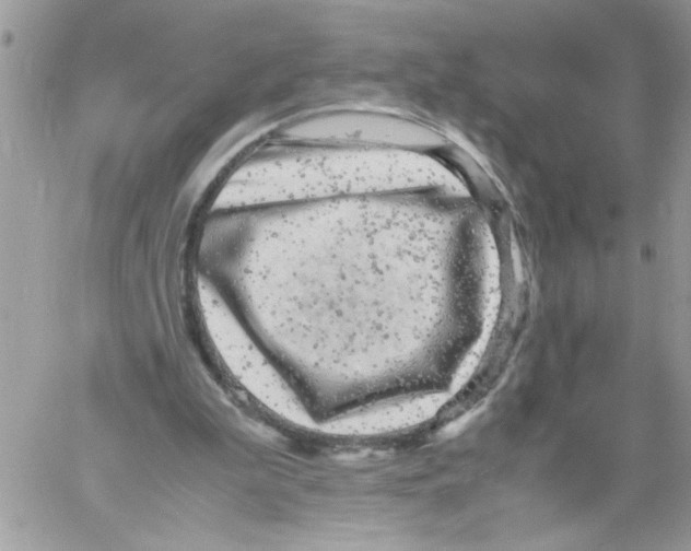 X0000061760199200512302312