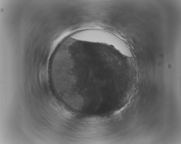 X0000061760200200512302312