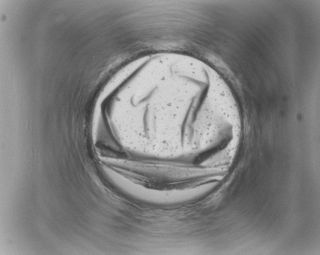 X0000061760201200512302312