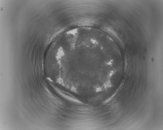 X0000061760202200512302312