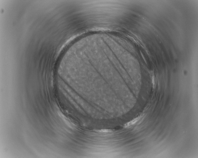 X0000061760204200512302312