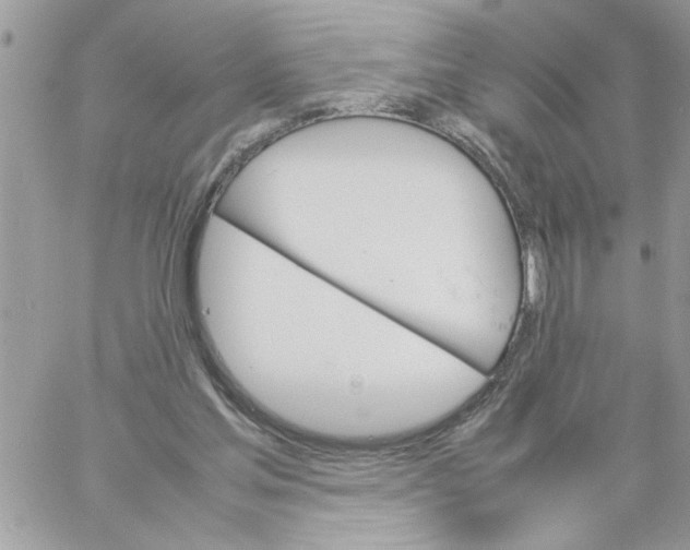 X0000061760205200512302312