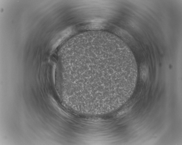 X0000061760206200512302312