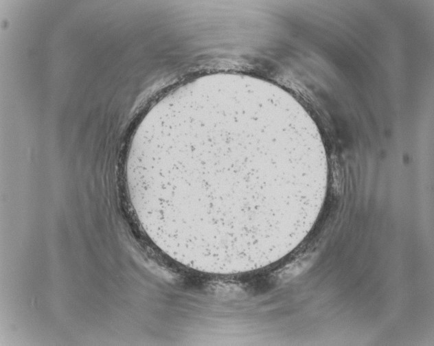 X0000061760207200512302312