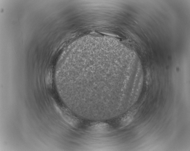 X0000061760210200512302312