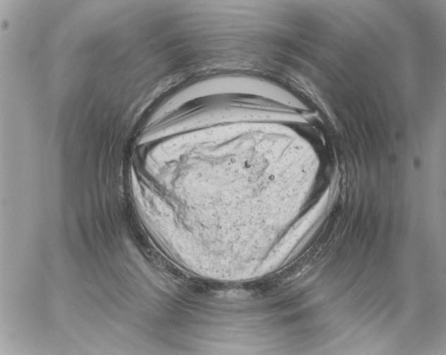 X0000061760212200512302312