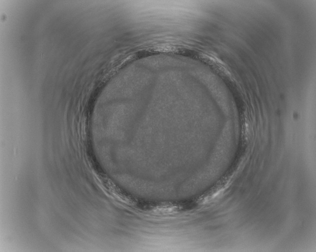 X0000061760213200512302312