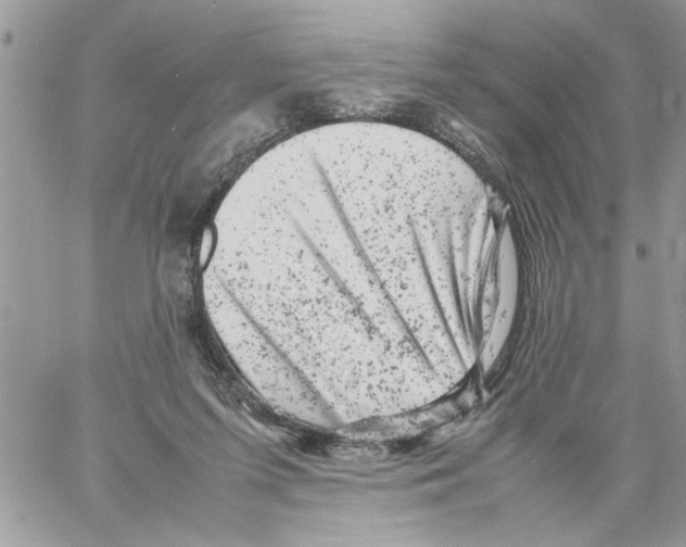 X0000061760215200512302312