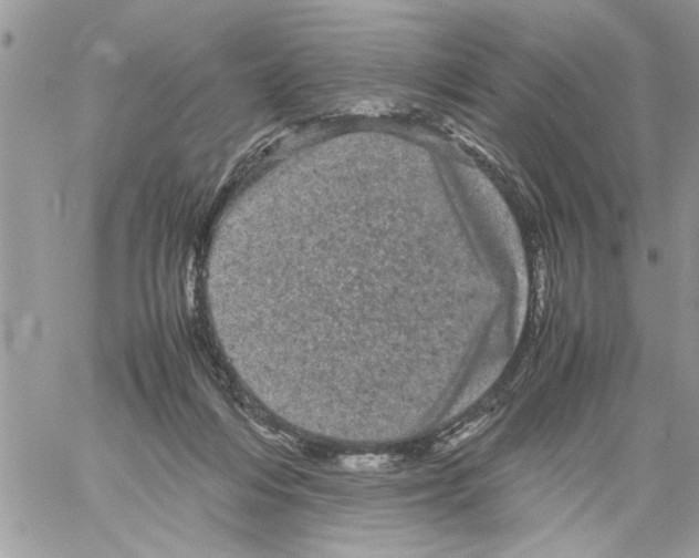 X0000061760216200512302312