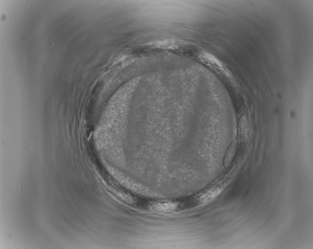 X0000061760217200512302312