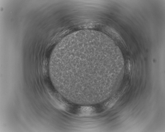 X0000061760218200512302312