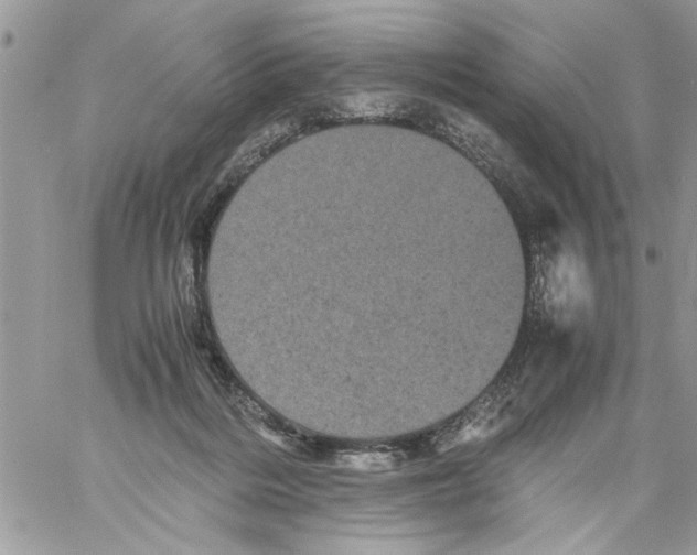 X0000061760220200512302312