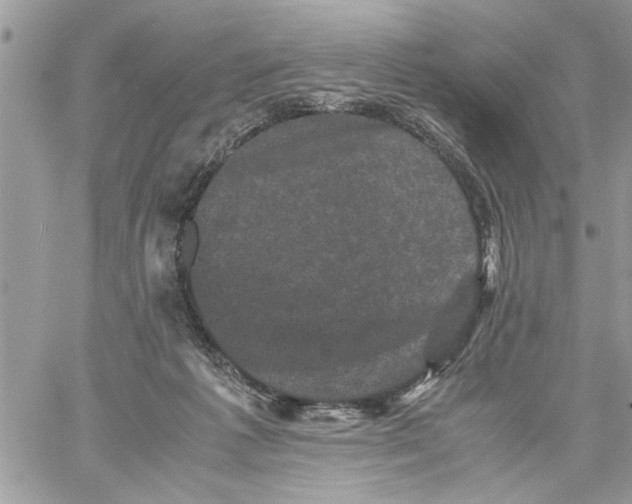 X0000061760221200512302312