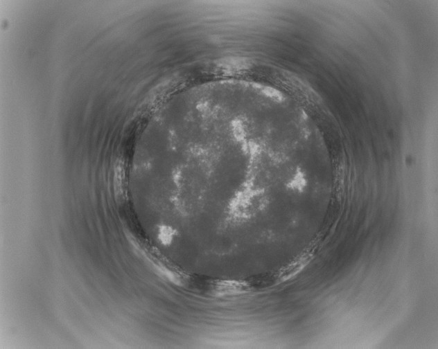 X0000061760222200512302312