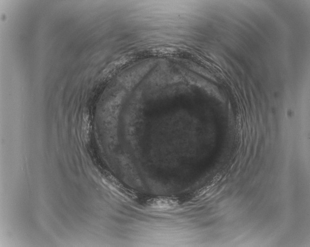 X0000061760223200512302312