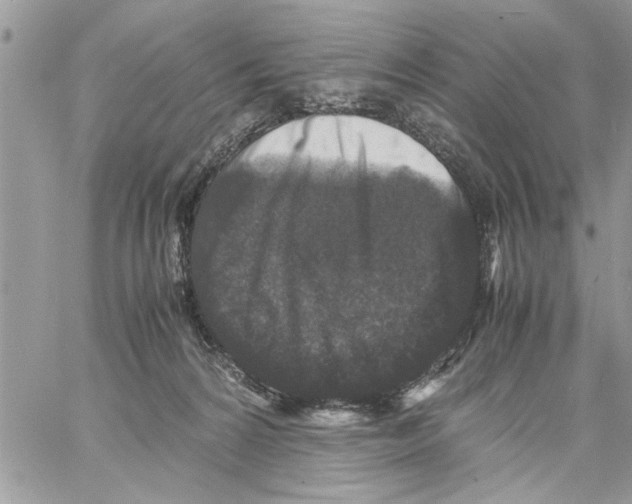 X0000061760224200512302312