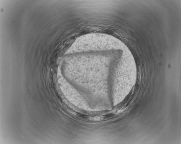 X0000061760225200512302312