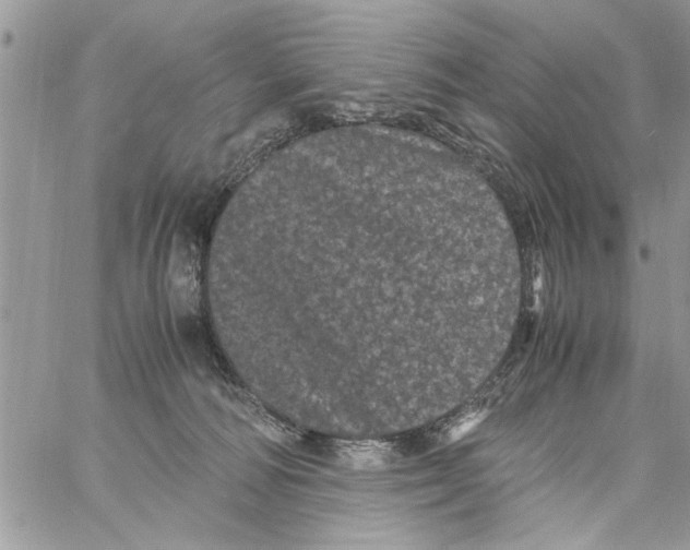 X0000061760226200512302312