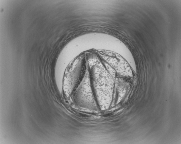 X0000061760227200512302312