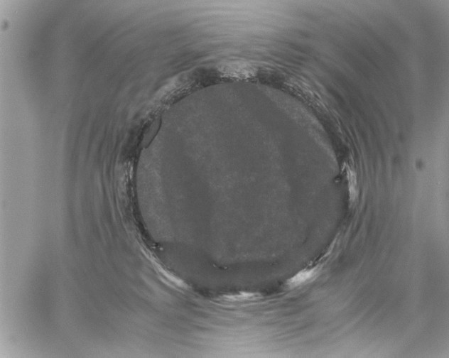 X0000061760229200512302312