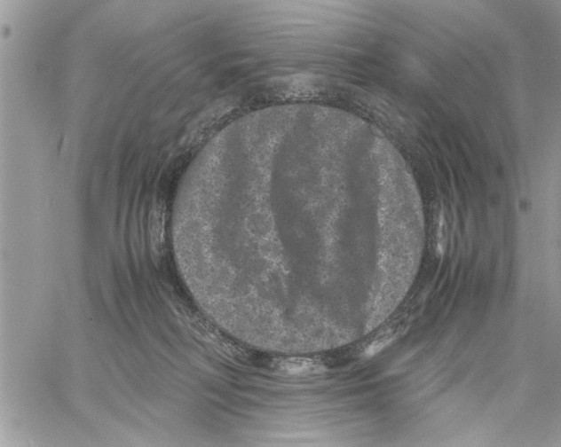 X0000061760230200512302312