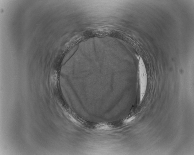 X0000061760231200512302312