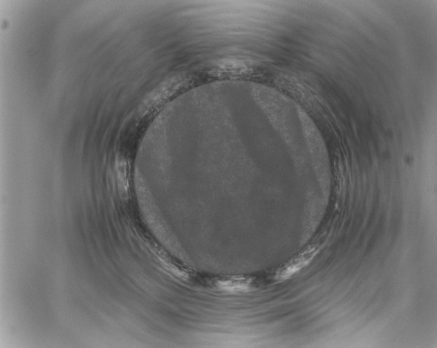 X0000061760232200512302312