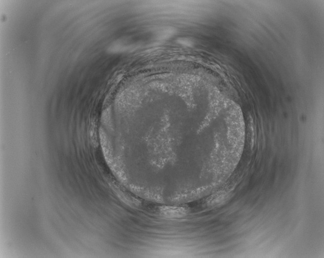 X0000061760234200512302312