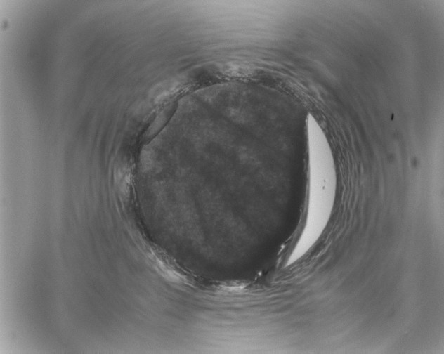 X0000061760235200512302312