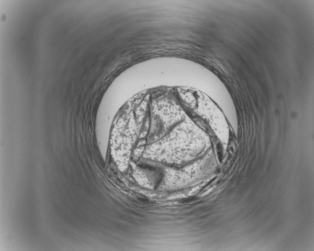 X0000061760237200512302311