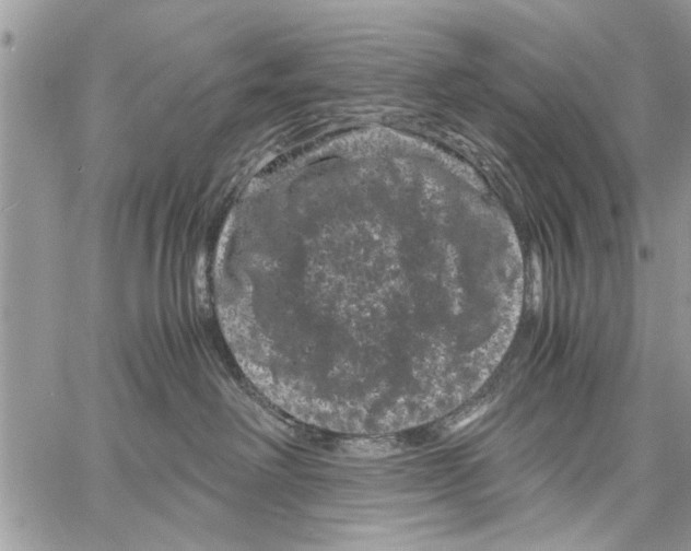 X0000061760238200512302311