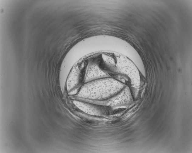 X0000061760239200512302311