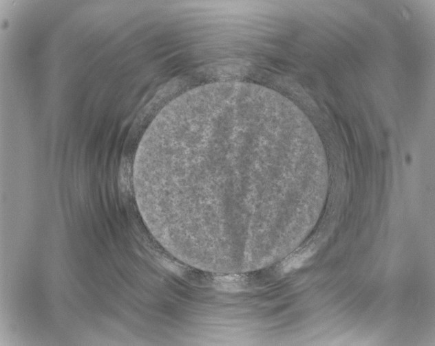 X0000061760240200512302311