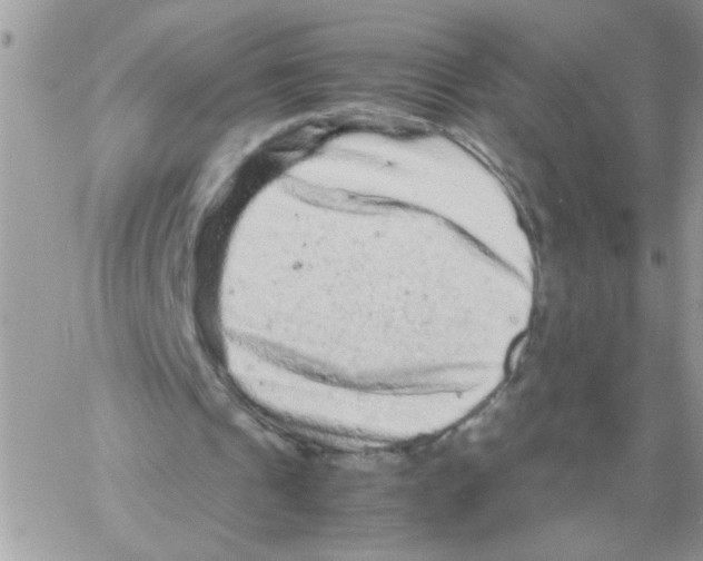 X0000061760241200512302311