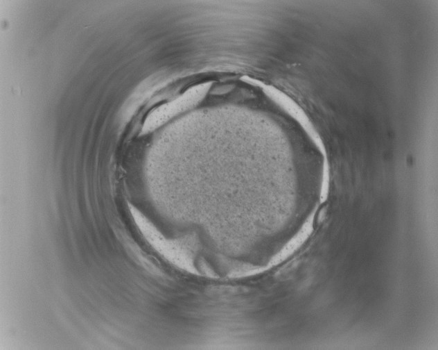 X0000061760242200512302311