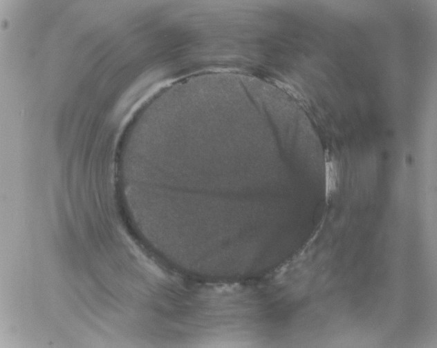 X0000061760243200512302311