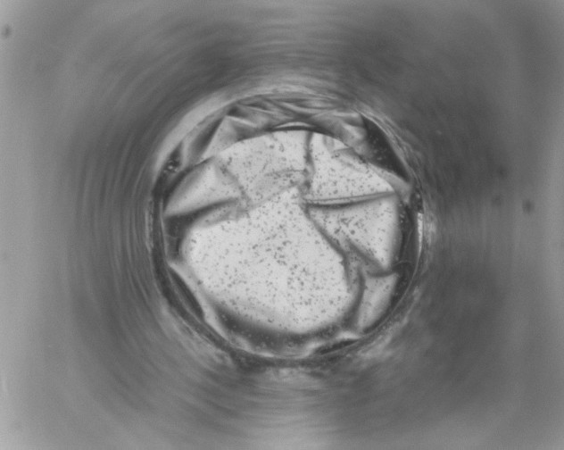 X0000061760244200512302311