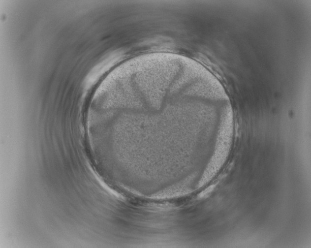 X0000061760245200512302311