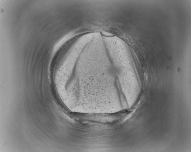 X0000061760246200512302311