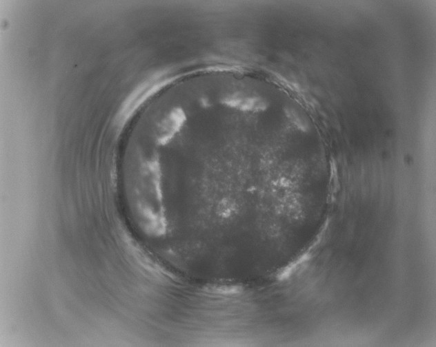 X0000061760247200512302311