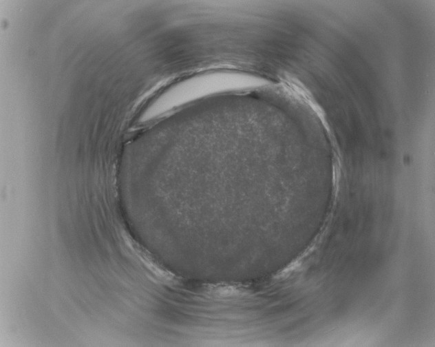 X0000061760249200512302311